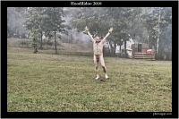 A Nude Awakening -Coming Soon!